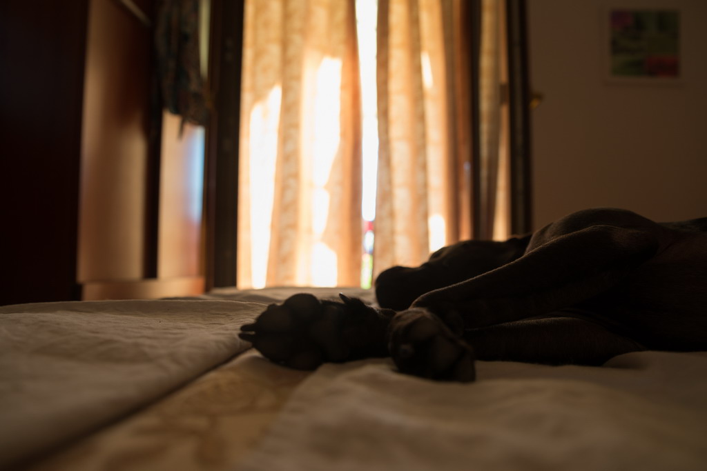  Marta pliva i uživa na moru 